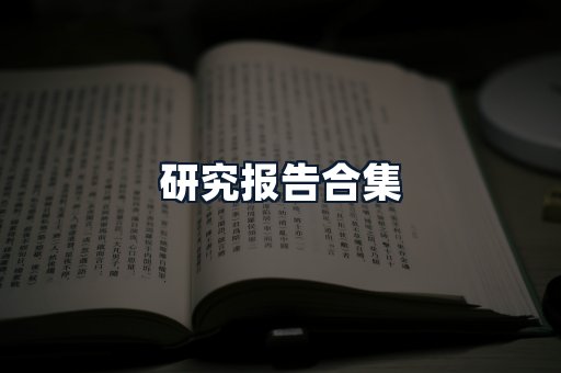 研究报告合集